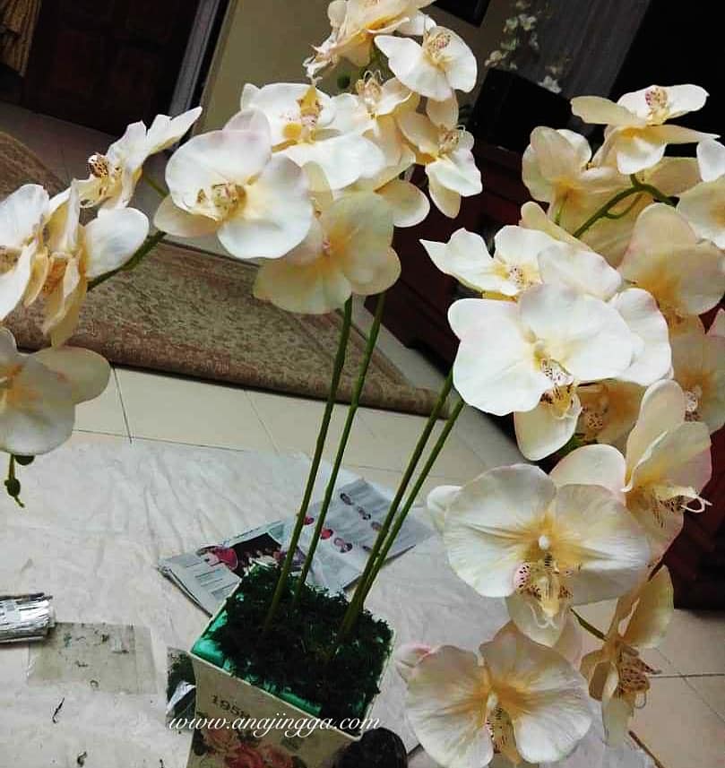 Idea Gubahan Bunga Orkid Sebagai Hiasan Rumah - HIAS.MY