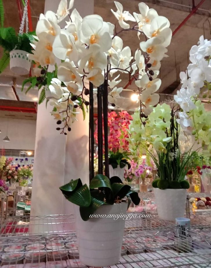 Permalink to Idea Gubahan Bunga Orkid Sebagai Hiasan Rumah